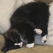 seb