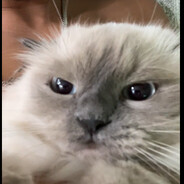 п5 - steam id 76561199675042696