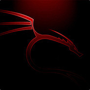 xxgamer1100