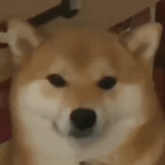 谁说我不爱吃草莓