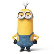 Minion79797