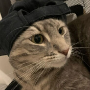 cicu