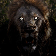 ɴ  ᴏ  ʜ  ɪ  ᴛ  ⚡