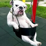 ленивая жопа