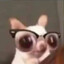 bielito