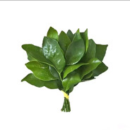 花开富贵小桃心