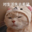 无名的吃瓜群众