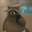 Dope ass racoon