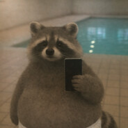 Dope ass racoon
