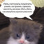 -|_|TeaDEVIL666|_|-