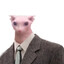 bingus