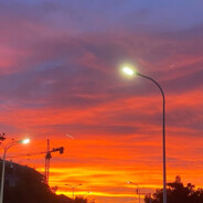 是谁在猪猪上骑行