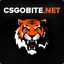 CSGOBITE.NET | BOT #2