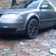 pino