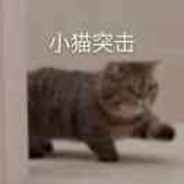 生不出人，我很抱歉