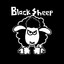 Black_Sheep_487