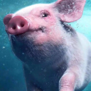 真的想不出名了