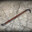 the humble crowbar