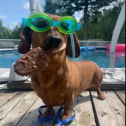 Проzчитался