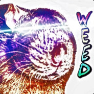 rw
