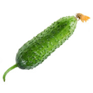 Cucumber