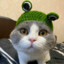 CAT IN A HAT :)