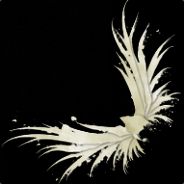 Black Crow's Avatar