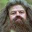 HaarigerHagrid