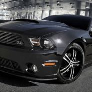 FortisFortunaAdiuvat