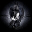 hornet_xx