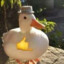 Mr.Duckhan