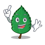 Mint_leaf