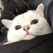 我们很久没见了