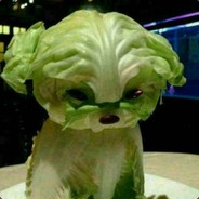 林零零