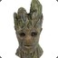 Groot