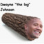 Dwayne The Log Johnson