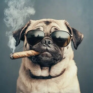 FK | Крутой мопс