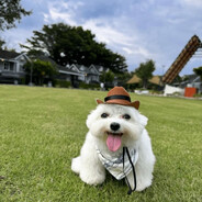 jaro - steam id 76561198059829493