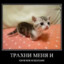 Реквием по Антону