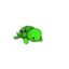 tortle