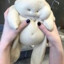 Doughboy