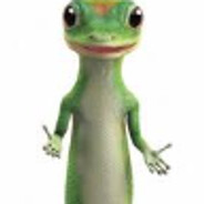 Geico Life Insurance