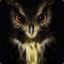 Nyteowl
