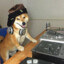 DJ Doge