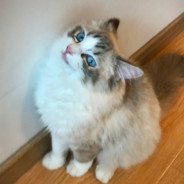 󠀡󠀡󠀡󠀡󠀡󠀡󠀡󠀡󠀡󠀡󠀡󠀡