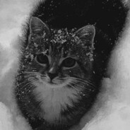 wolium