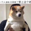 芋芋小土鸡