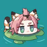 一只迷路的猫猫