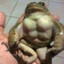 Ripped Frog