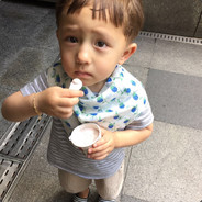 一天到晚游泳的鱼